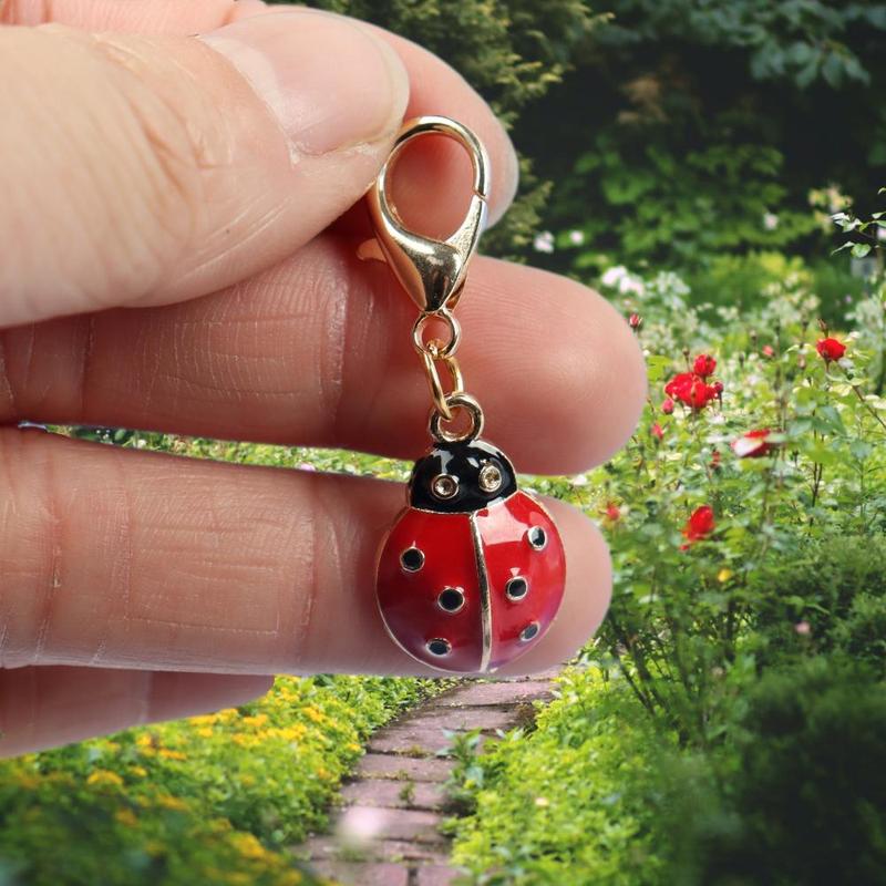 Ladybug Design Keychain with Loving Friendship Card, Small Charm Pendant for Support and Encouragement, Creative Gift for Friends