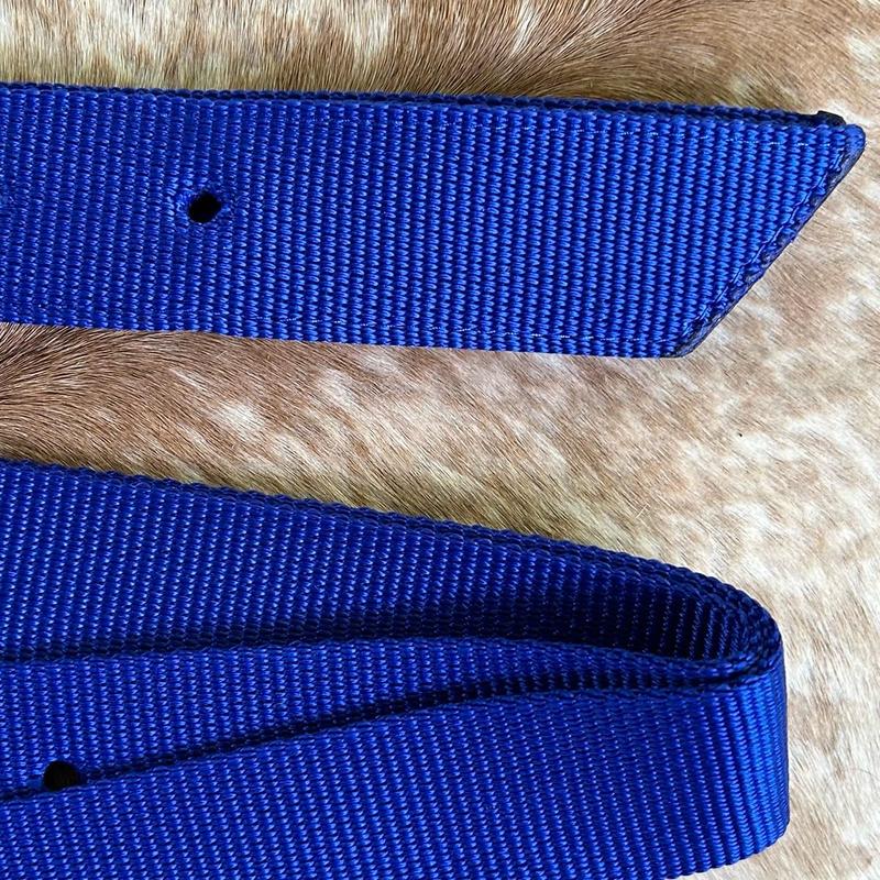 Royal Blue Western Saddle Nylon Tie Strap & Off Side Billet Set