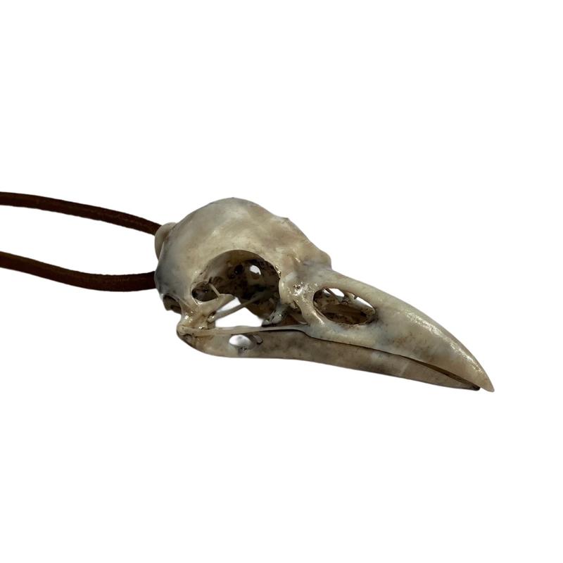 Raven Skull Necklace - Raven Skull Car Ornament