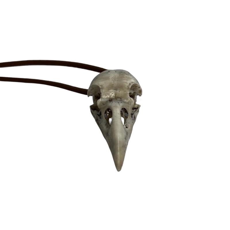 Raven Skull Necklace - Raven Skull Car Ornament