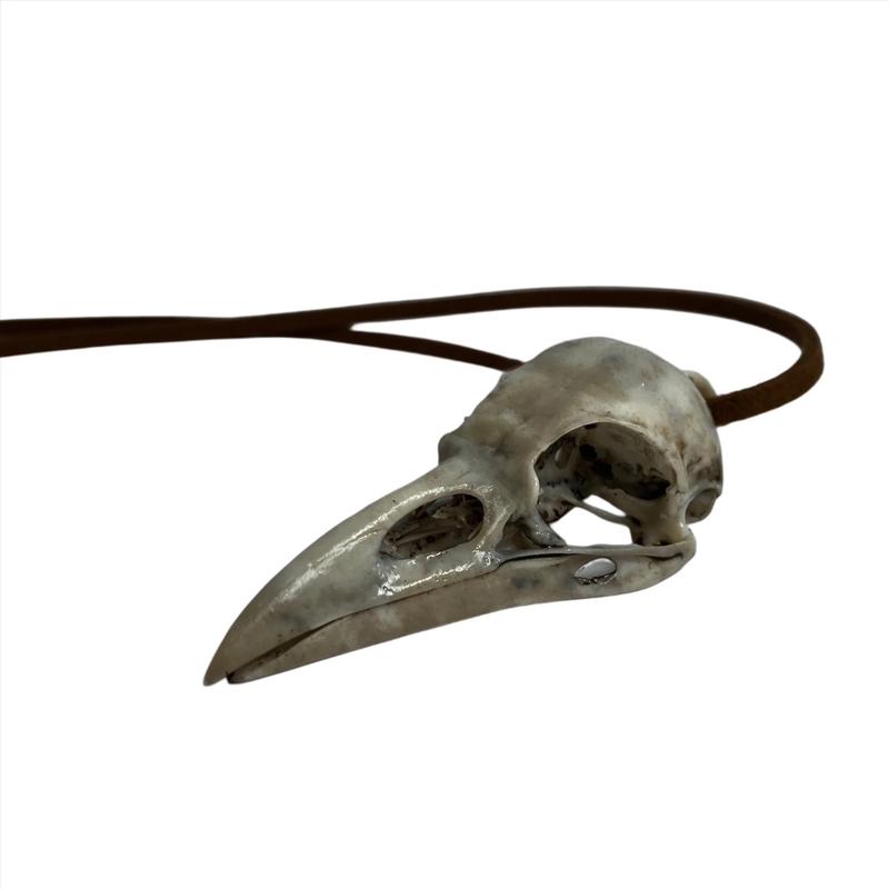 Raven Skull Necklace - Raven Skull Car Ornament