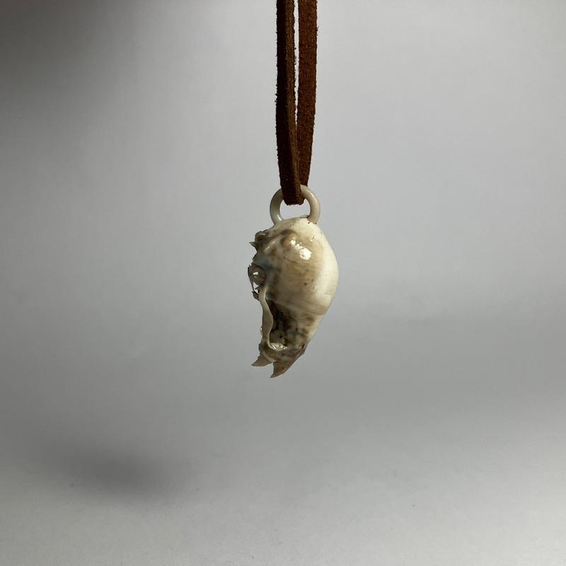 Vampire Bat Skull Pendant Necklace - Highly Detailed Resin Replica