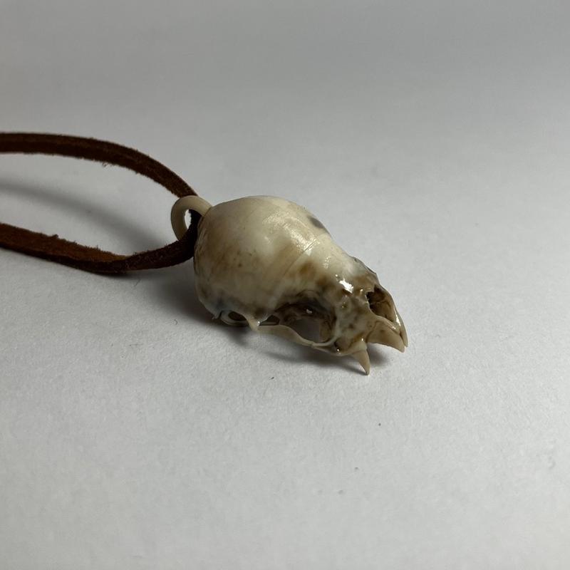 Vampire Bat Skull Pendant Necklace - Highly Detailed Resin Replica