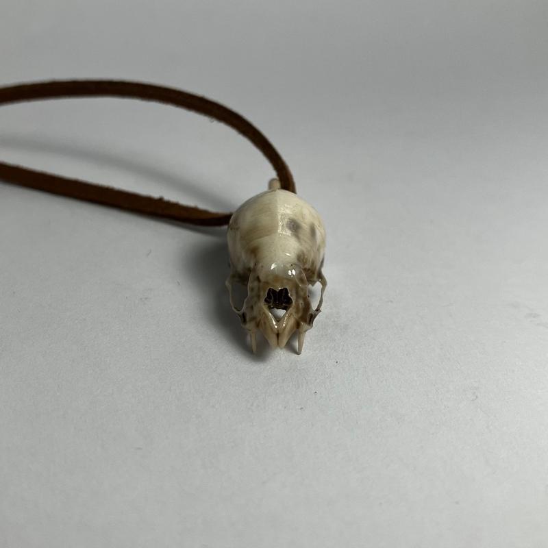 Vampire Bat Skull Pendant Necklace - Highly Detailed Resin Replica