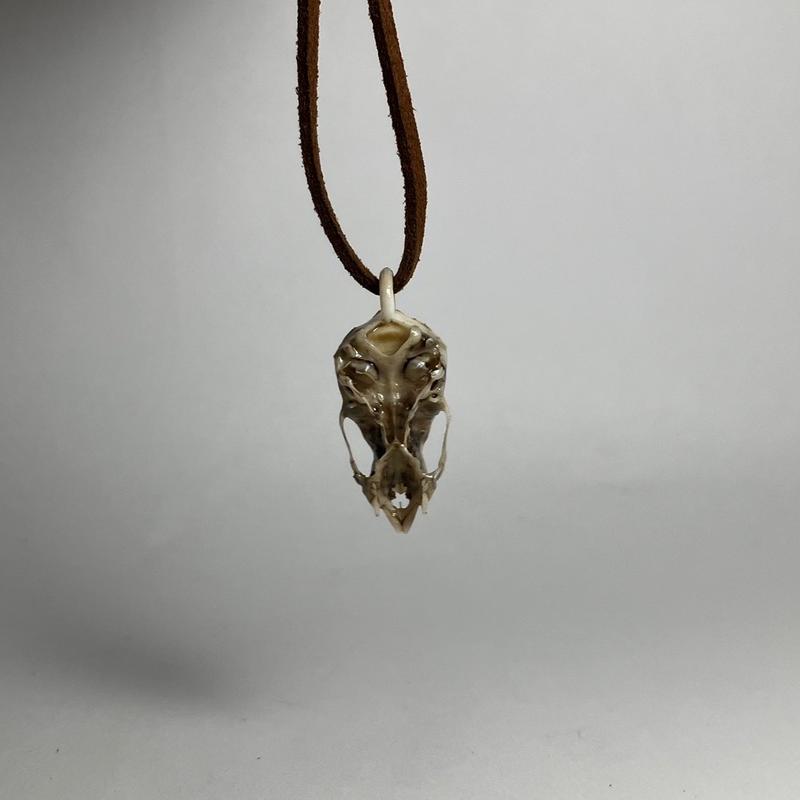 Vampire Bat Skull Pendant Necklace - Highly Detailed Resin Replica