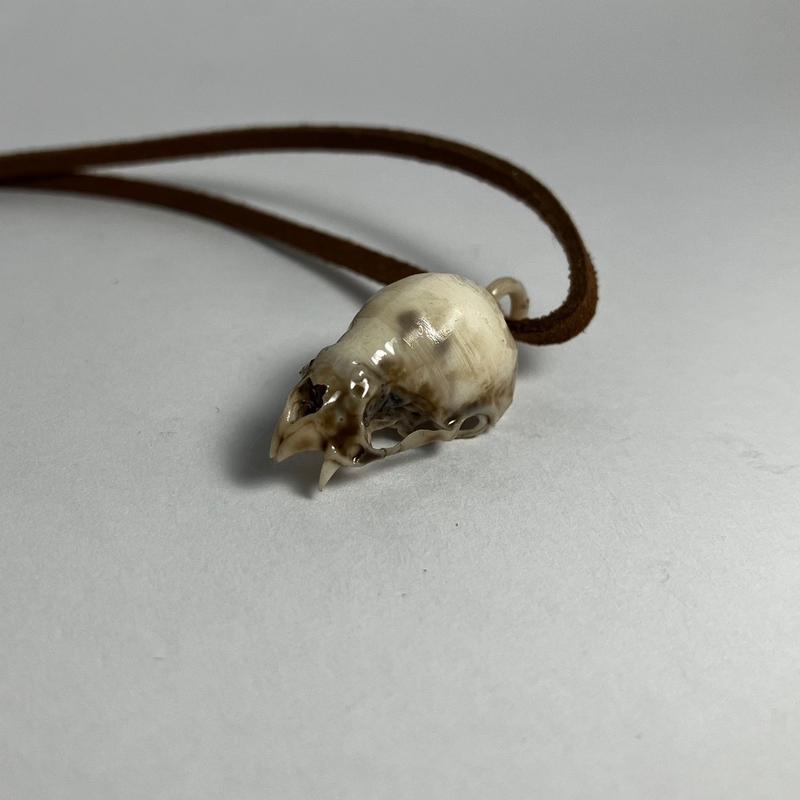 Vampire Bat Skull Pendant Necklace - Highly Detailed Resin Replica